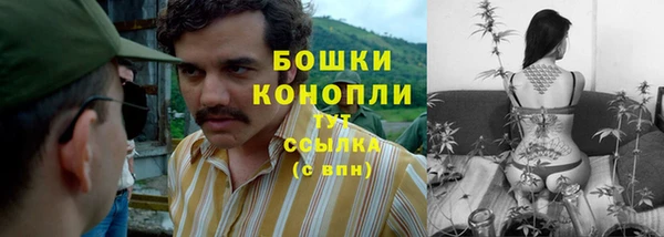 PSILOCYBIN Михайловск