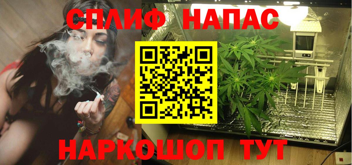 Канабис ГИДРОПОН  МАРИХУАНА планчик  Мирный  Вход с VPN  Шишки марихуана марихуана 